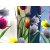 Bluzkaw tulipany - Rena